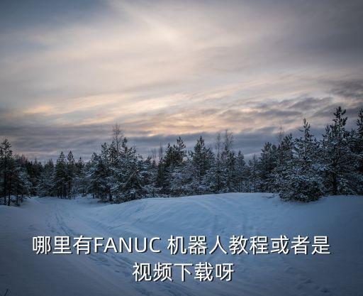 哪里有FANUC 機(jī)器人教程或者是 視頻下載呀