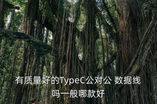 有質(zhì)量好的TypeC公對(duì)公 數(shù)據(jù)線嗎一般哪款好