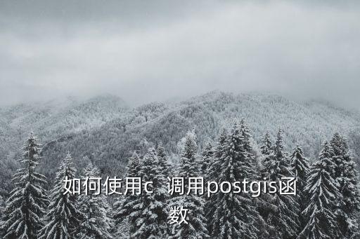 如何使用c  調用postgis函數(shù)