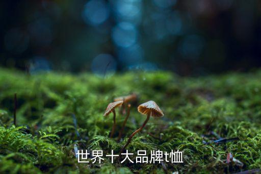 世界十大品牌t恤