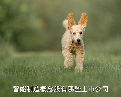 智能制造概念股有哪些上市公司