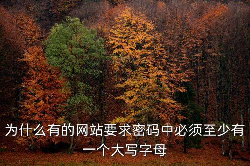 為什么有的網(wǎng)站要求密碼中必須至少有一個大寫字母
