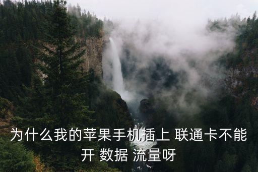 為什么我的蘋果手機插上 聯(lián)通卡不能開 數(shù)據(jù) 流量呀