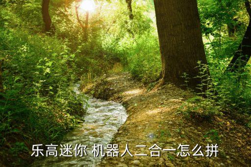 樂(lè)高迷你 機(jī)器人二合一怎么拼