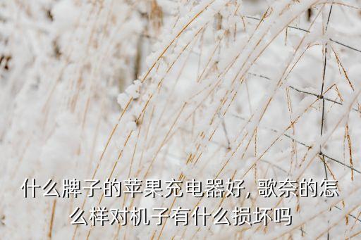 4s數(shù)據(jù)線歌奈,歌奈蘋果數(shù)據(jù)線好不好