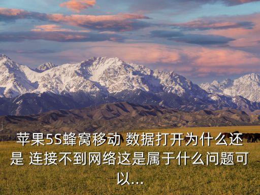 5s怎么設(shè)置移動數(shù)據(jù)連接不上去