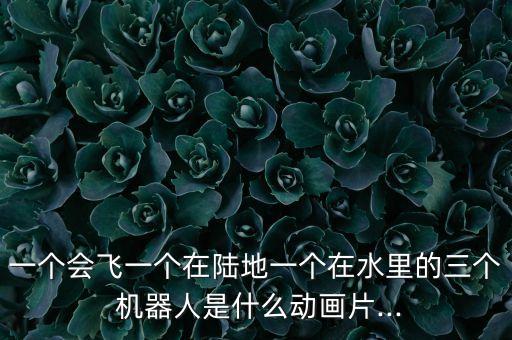 一個(gè)會飛一個(gè)在陸地一個(gè)在水里的三個(gè) 機(jī)器人是什么動(dòng)畫片...