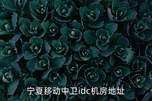 寧夏移動(dòng)中衛(wèi)idc機(jī)房地址