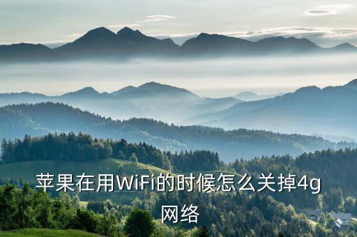 蘋(píng)果在用WiFi的時(shí)候怎么關(guān)掉4g 網(wǎng)絡(luò)