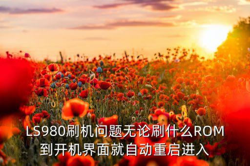 LS980刷機問題無論刷什么ROM到開機界面就自動重啟進入