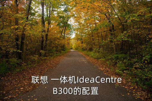  聯(lián)想 一體機(jī)IdeaCentreB300的配置
