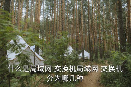 什么是局域網(wǎng) 交換機(jī)局域網(wǎng) 交換機(jī)分為哪幾種