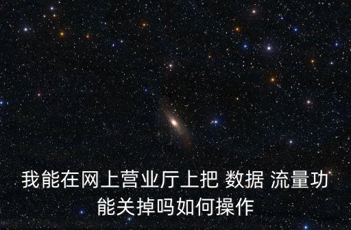 我能在網(wǎng)上營(yíng)業(yè)廳上把 數(shù)據(jù) 流量功能關(guān)掉嗎如何操作