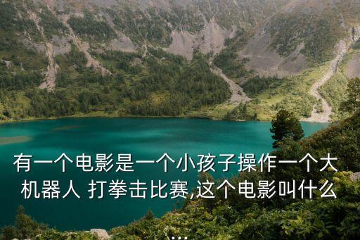 有一個(gè)電影是一個(gè)小孩子操作一個(gè)大 機(jī)器人 打拳擊比賽,這個(gè)電影叫什么...