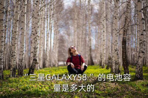 “三星GALAXYS8 ”的電池容量是多大的