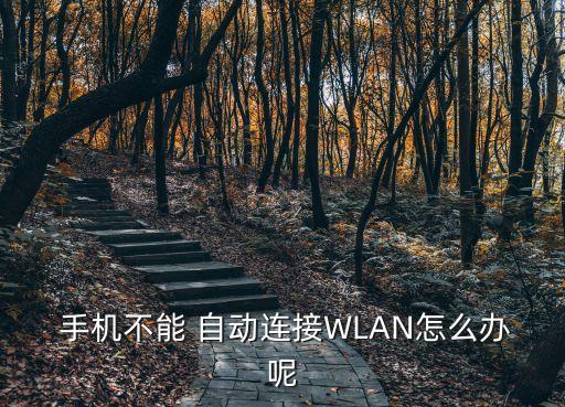  手機(jī)不能 自動連接WLAN怎么辦呢