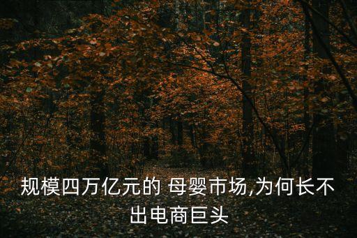 規(guī)模四萬億元的 母嬰市場,為何長不出電商巨頭