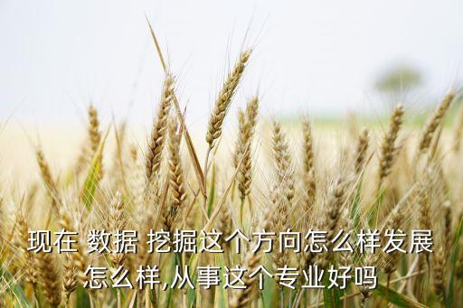 現(xiàn)在 數(shù)據(jù) 挖掘這個(gè)方向怎么樣發(fā)展怎么樣,從事這個(gè)專業(yè)好嗎