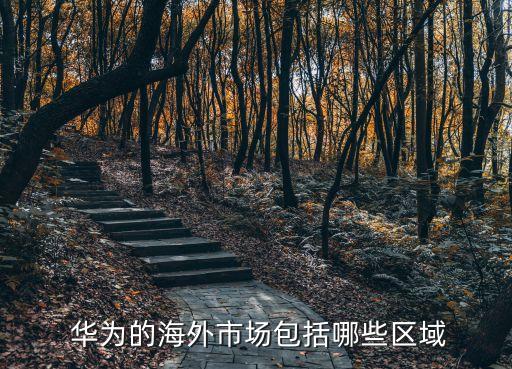 華為智能手機網(wǎng)絡(luò)銷售數(shù)據(jù),2022年華為智能手機銷量數(shù)據(jù)圖