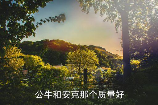  公牛和安克那個(gè)質(zhì)量好