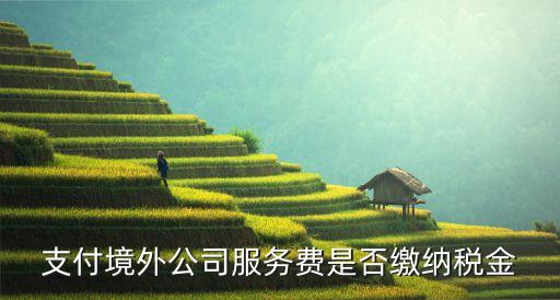 支付境外公司服務(wù)費(fèi)是否繳納稅金