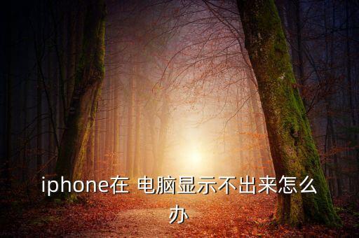 蘋果手機(jī)數(shù)據(jù)連接不上電腦沒(méi)反應(yīng)怎么辦