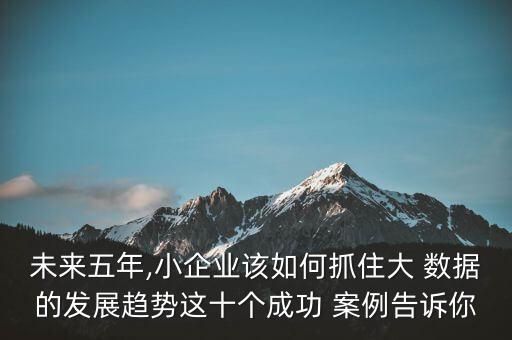 未來(lái)五年,小企業(yè)該如何抓住大 數(shù)據(jù)的發(fā)展趨勢(shì)這十個(gè)成功 案例告訴你