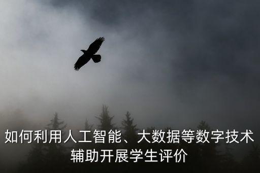 如何利用人工智能、大數(shù)據(jù)等數(shù)字技術(shù)輔助開展學(xué)生評(píng)價(jià)