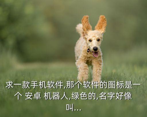 求一款手機軟件,那個軟件的圖標是一個 安卓 機器人,綠色的,名字好像叫...
