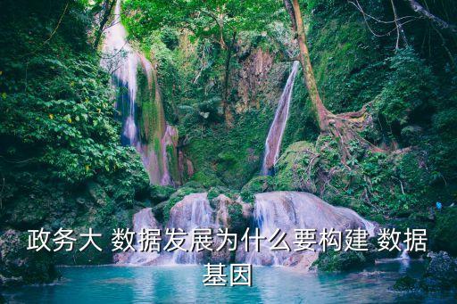 政務(wù)大 數(shù)據(jù)發(fā)展為什么要構(gòu)建 數(shù)據(jù)基因