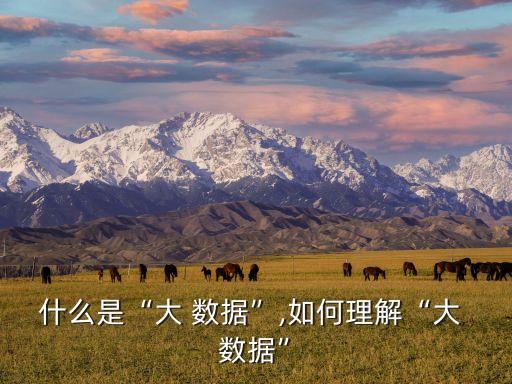 什么是“大 數(shù)據(jù)”,如何理解“大 數(shù)據(jù)”