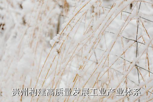 貴陽 塊數(shù)據(jù),貴陽塊數(shù)據(jù)城市建設(shè)有限公司是國企嗎
