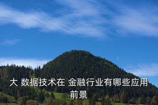 大 數(shù)據(jù)技術(shù)在 金融行業(yè)有哪些應(yīng)用前景