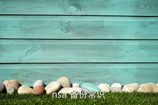 nsa 備份常識