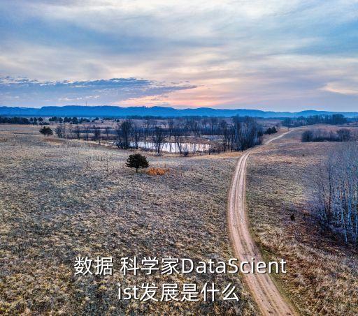 數(shù)據(jù)科學(xué)家