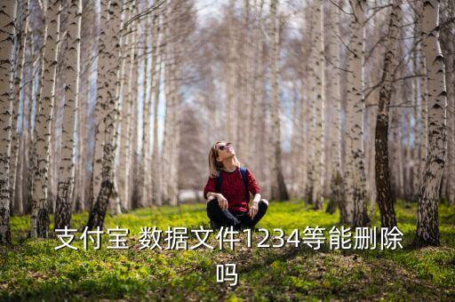 支付寶數(shù)據(jù)圖