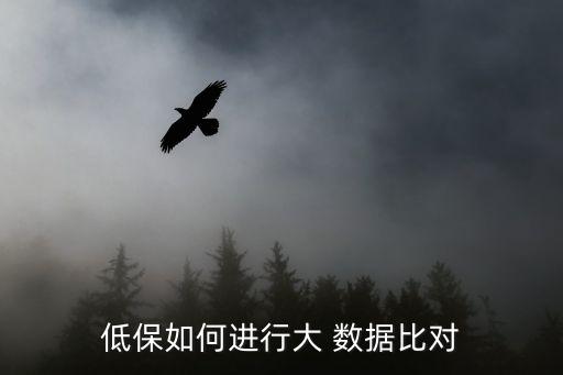 低保如何進(jìn)行大 數(shù)據(jù)比對(duì)