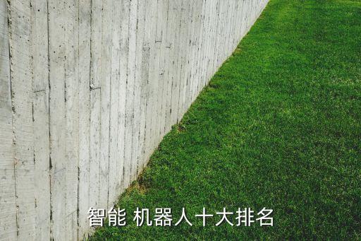 德國(guó)機(jī)器人品牌有哪些,德國(guó)掃地機(jī)器人品牌排行榜