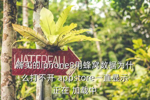 新買(mǎi)的iphone8用蜂窩數(shù)據(jù)為什么打不開(kāi) appstore一直顯示正在 加載中