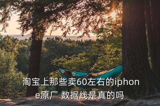  淘寶上那些賣60左右的iphone原廠 數(shù)據(jù)線是真的嗎
