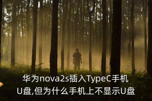 華為nova2s插入TypeC手機U盤,但為什么手機上不顯示U盤