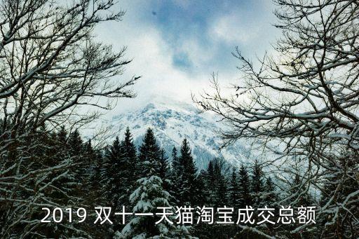 2019 雙十一天貓?zhí)詫毘山豢傤~