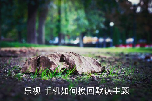 樂視 手機如何換回默認(rèn)主題