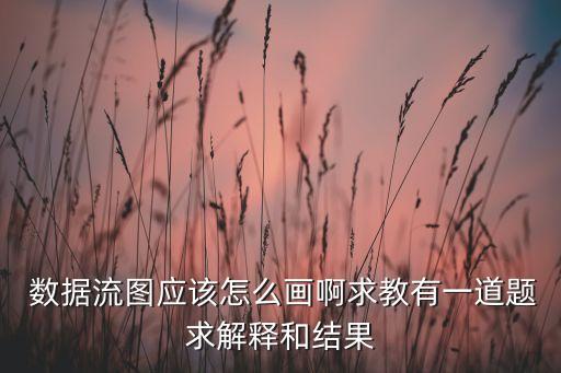  數(shù)據(jù)流圖應(yīng)該怎么畫啊求教有一道題求解釋和結(jié)果