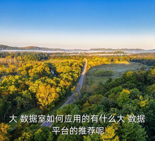 大 數(shù)據(jù)室如何應(yīng)用的有什么大 數(shù)據(jù) 平臺的推薦呢