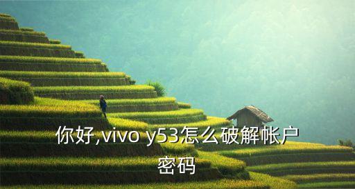 你好,vivo y53怎么破解帳戶密碼
