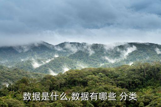 數(shù)據(jù)是什么,數(shù)據(jù)有哪些 分類