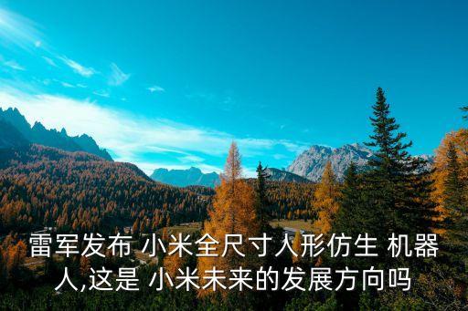 雷軍發(fā)布 小米全尺寸人形仿生 機(jī)器人,這是 小米未來的發(fā)展方向嗎