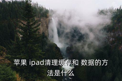 ipad清除一個程序的數(shù)據(jù)教程