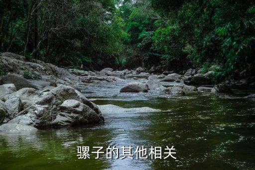 美國波士頓四足機(jī)器人,波士頓動力四足機(jī)器人